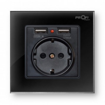 Розетка с заземлением и 2 USB Profi therm Singl Elegant Black-0