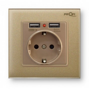 Розетка с заземлением и 2 USB Profi therm Singl Pure Gold-0