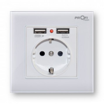 Розетка с заземлением и 2 USB Profi therm Singl Snow White-0